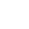 HawkLynx logo